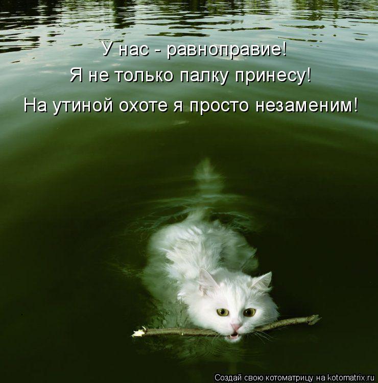 Котоматрица: У нас - равноправие! Я не только палку принесу! На утиной охоте я просто незаменим!