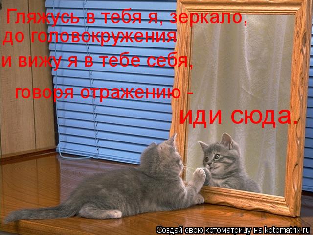 Гляжусь в тебя я, зеркало, до головокружения иди сюда. и вижу я в тебе себя, говоря отражению -... Котоматрица: Гляжусь в тебя я, зеркало, до головокружения иди сюда. и вижу я в тебе себя, говоря отражению -