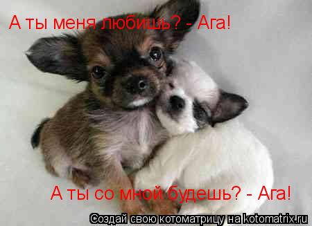 А ты меня любишь? - Ага! А ты со мной будешь? - Ага!... Котоматрица: А ты меня любишь? - Ага! А ты со мной будешь? - Ага!