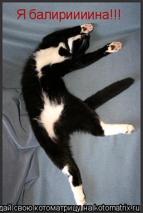 Котоматрица: Я балириииина!!!