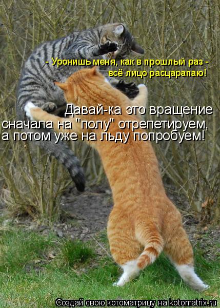 Котоматрица: - Уронишь меня, как в прошлый раз -  всё лицо расцарапаю! Давай-ка это вращение сначала на "полу" отрепетируем, а потом уже на льду попробуем!