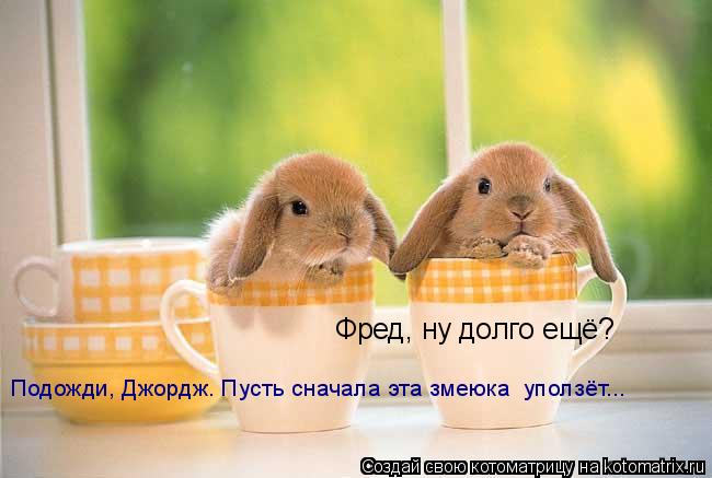 Фред, ну долго ещё? Подожди, Джордж. Пусть сначала эта змеюка уползёт...... Котоматрица: Фред, ну долго ещё? Подожди, Джордж. Пусть сначала эта змеюка уползёт...
