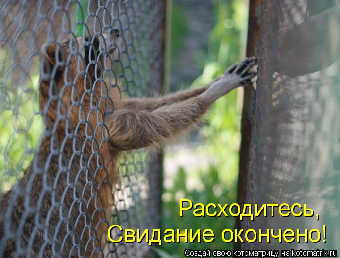 Котоматрица: Свидание окончено! Расходитесь,