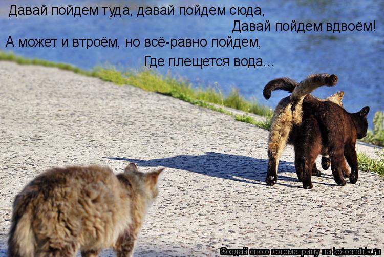 Котоматрица: Давай пойдем туда, давай пойдем сюда, Давай пойдем вдвоём! А может и втроём, но всё-равно пойдем, Где плещется вода...