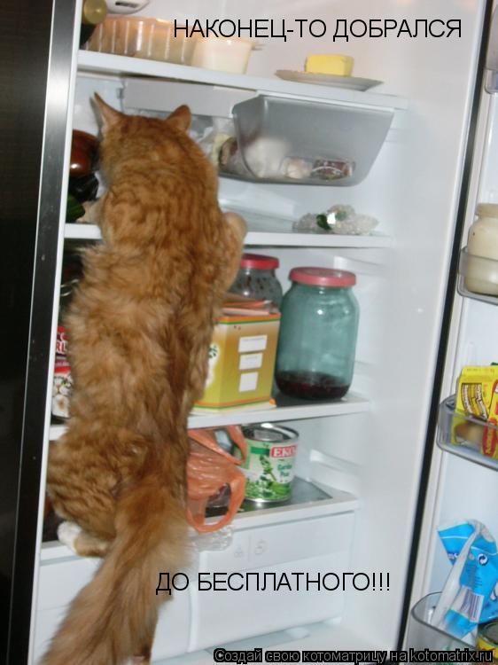 Котоматрица: НАКОНЕЦ-ТО ДОБРАЛСЯ ДО БЕСПЛАТНОГО!!!