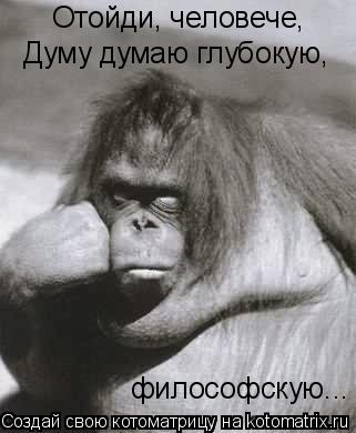 Котоматрица: Отойди, человече, Думу думаю глубокую, философскую...