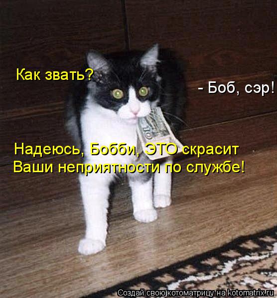 Котоматрица: Надеюсь, Бобби, ЭТО скрасит Ваши неприятности по службе! Как звать? - Боб, сэр!