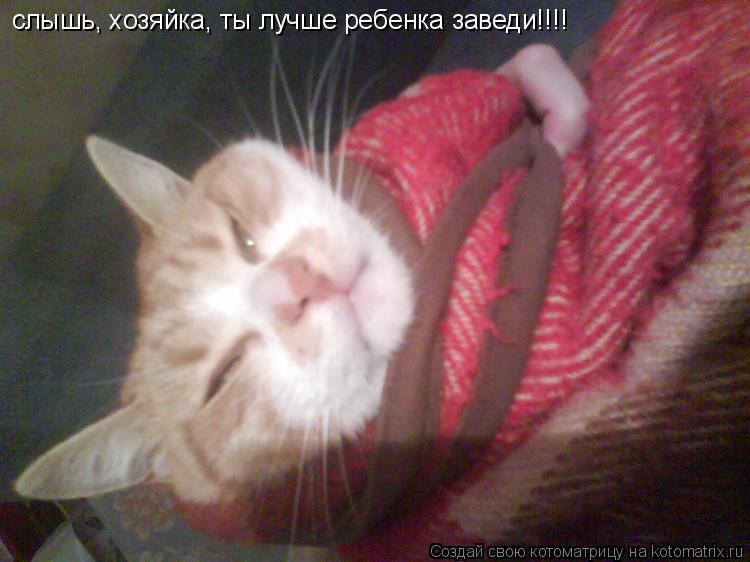 слышь, хозяйка, ты лучше ребенка заведи!!!!... Котоматрица: слышь, хозяйка, ты лучше ребенка заведи!!!!