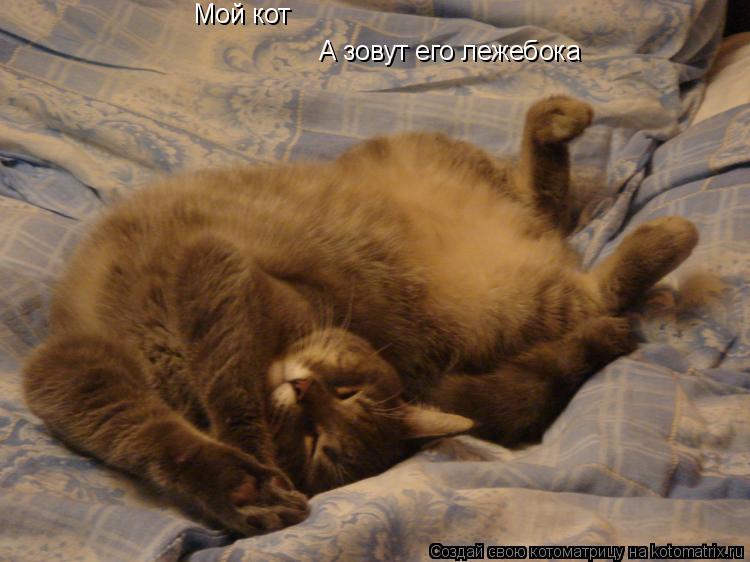 Котоматрица: А зовут его лежебока Мой кот