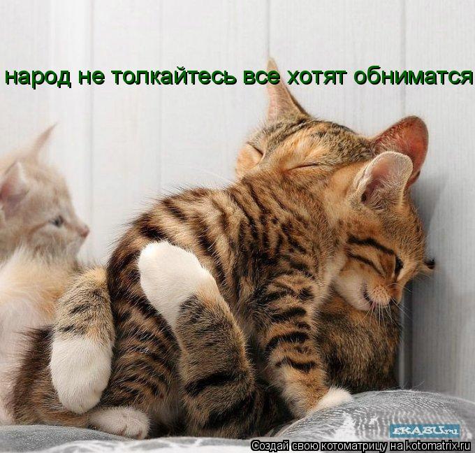 Котоматрица: народ не толкайтесь все хотят обниматся!