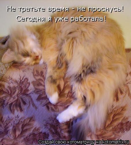 Котоматрица: Не тратьте время - не проснусь! Сегодня я уже работала!