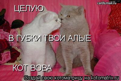 Котоматрица: ЦЕЛУЮ  В ГУБКИ ТВОИ АЛЫЕ КОТ ВОВА