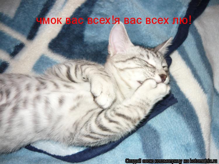 Котоматрица: чмок вас всех!я вас всех лю!