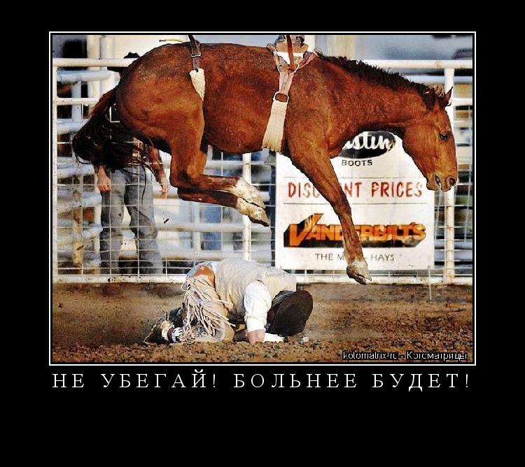 Котоматрица: Н Е   У Б Е Г А Й !   Б О Л Ь Н Е Е   Б У Д Е Т ! 