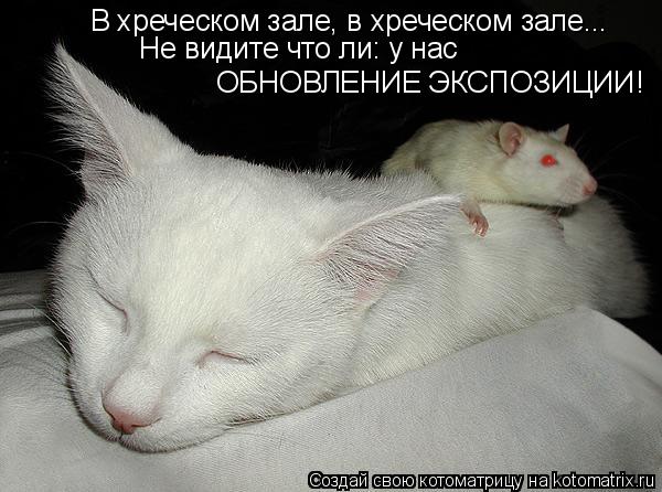 Котоматрица: В хреческом зале, в хреческом зале... Не видите что ли: у нас ОБНОВЛЕНИЕ ЭКСПОЗИЦИИ!