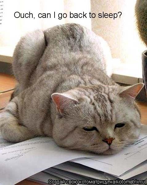 Котоматрица: Ouch, can I go back to sleep?