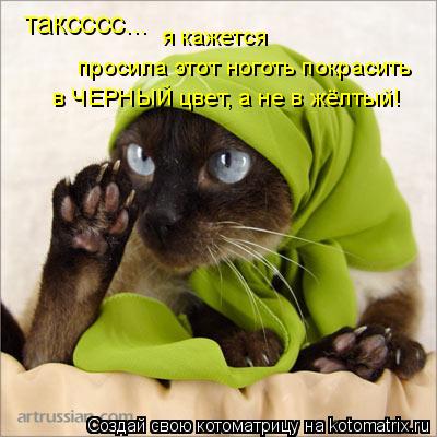 Котоматрица: таксссс... я кажется  просила этот ноготь покрасить в ЧЕРНЫЙ цвет, а не в жёлтый!