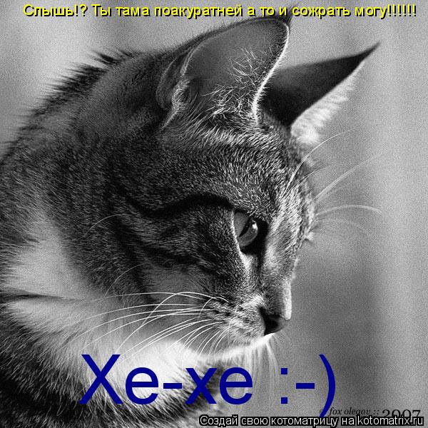 Слышь!? Ты тама поакуратней а то и сожрать могу!!!!!! Хе-хе :-)... Котоматрица: Слышь!? Ты тама поакуратней а то и сожрать могу!!!!!! Хе-хе :-)