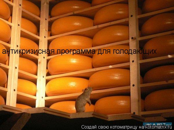 Котоматрица: антикризисная программа для голодающих
