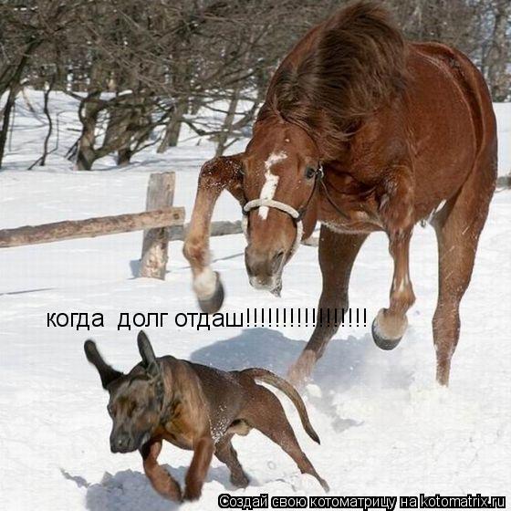 Котоматрица: когда  долг отдаш!!!!!!!!!!!!!!!!!