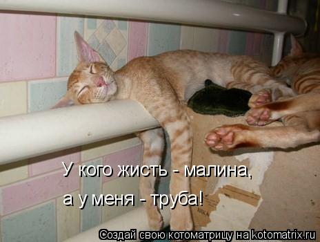 Котоматрица: У кого жисть - малина, а у меня - труба!