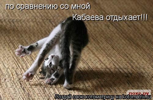 Котоматрица: по сравнению со мной   Кабаева отдыхает!!!