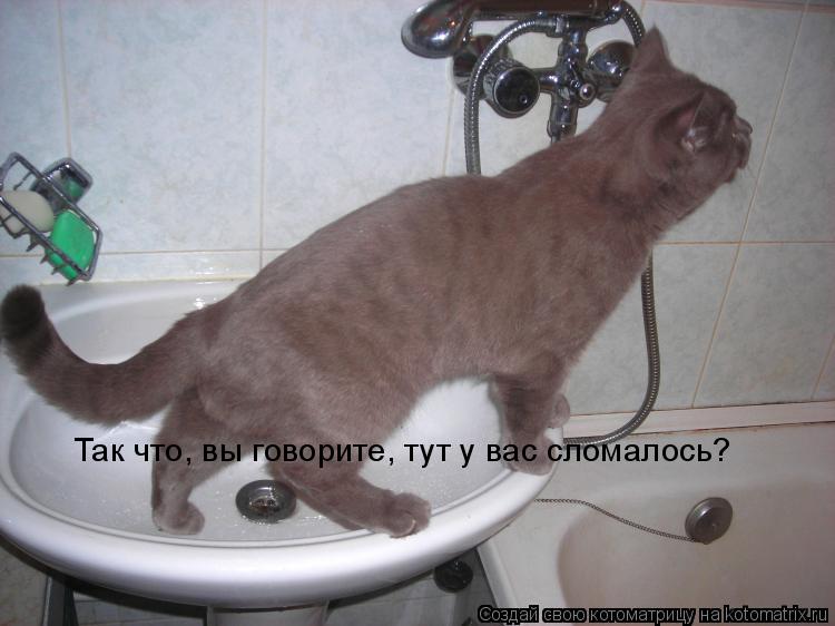 Котоматрица: Так что, вы говорите, тут у вас сломалось?