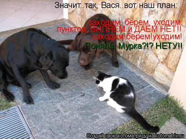заходим, берем, уходим. заходим!берем!уходим! пунктов; ВИЛЯЕМ и ДАЕМ НЕТ!! Значит..так, Вася..вот наш... Котоматрица: заходим, берем, уходим. заходим!берем!уходим! пунктов; ВИЛЯЕМ и ДАЕМ НЕТ!! Значит..так, Вася..вот наш план: Поняла, Мурка?!? НЕТУ!!
