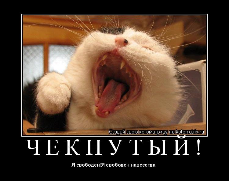 Ч Е К Н У Т Ы Й ! ... Котоматрица: Ч Е К Н У Т Ы Й !
