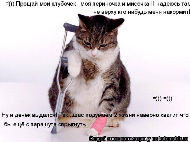 Котоматрица: Ну и денёк выдался! Так...щас подумаем 2 жизни наверно хватит что бы ещё с парашута спрыгнуть  бы ещё с парашута спрыгнуть =))) Прощай мой клубо