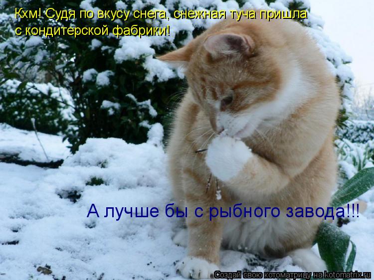 с кондитерской фабрики! А лучше бы с рыбного завода!!! Кхм! Судя по вкусу снега, снежная туча пришла... Котоматрица: с кондитерской фабрики! А лучше бы с рыбного завода!!! Кхм! Судя по вкусу снега, снежная туча пришла
