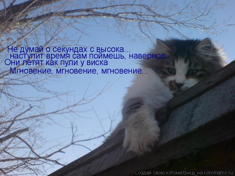 Котоматрица: Не думай о секундах с высока... наступит время сам поймешь, наверное... Они летят как пули у виска Мгновение, мгновение, мгновение...
