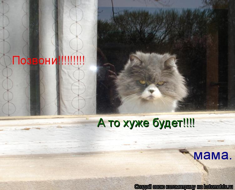 Котоматрица: Позвони!!!!!!!!! Позвони!!!!!!!!! А то хуже будет!!!! мама.