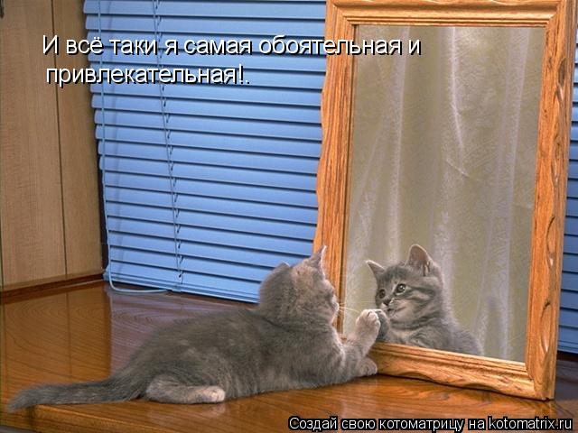 Котоматрица: И всё таки я самая обоятельная и  привлекательная!.