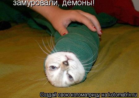 Котоматрица: замуровали, демоны!