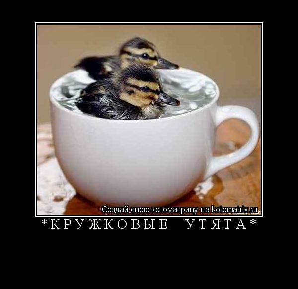 * К Р У Ж К О В Ы Е У Т Я Т А * ... Котоматрица: * К Р У Ж К О В Ы Е У Т Я Т А *