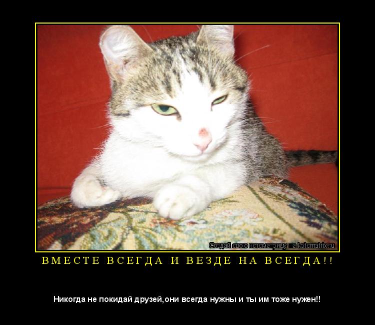 Котоматрица: В М Е С Т Е   В С Е Г Д А   И   В Е З Д Е   Н А   В С Е Г Д А ! ! 
