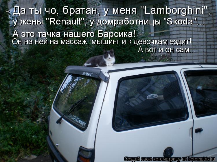 - Да ты чо, братан, у меня "Lamborghini", у жены "Renault", у домработницы "Skoda"... А это тачка наш... Котоматрица: - Да ты чо, братан, у меня "Lamborghini", у жены "Renault", у домработницы "Skoda"... А это тачка нашего Барсика! Он на ней на массаж, мышинг и к дево