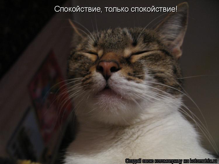 Котоматрица: Спокойствие, только спокойствие!