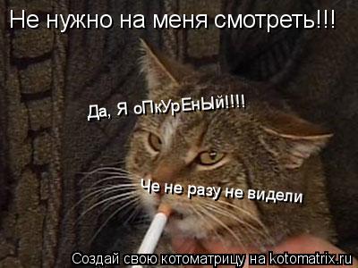 Котоматрица: Не нужно на меня смотреть!!! Да, Я оПкУрЕнЫй!!!! Че не разу не видели
