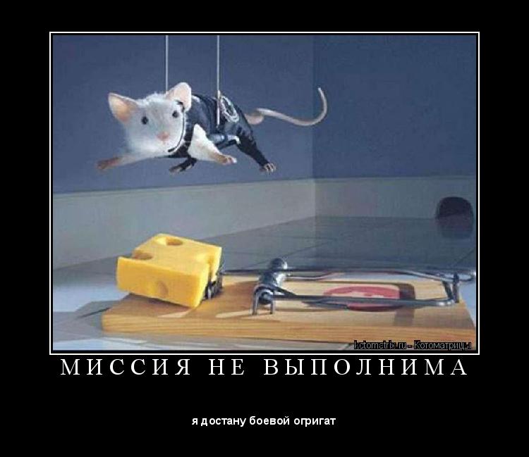 Котоматрица: М И С С И Я   Н Е   В Ы П О Л Н И М А 
