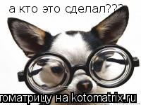 Котоматрица: а кто это сделал???