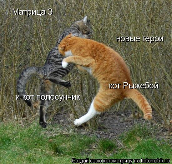 Котоматрица: Матрица 3 новые герои кот Рыжебой и кот полосунчик