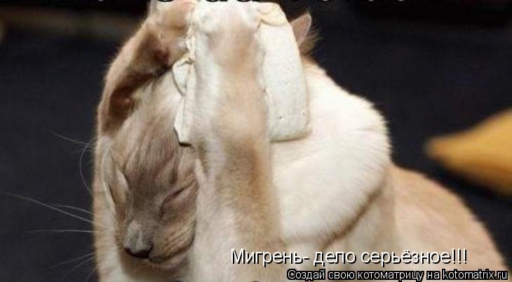 Котоматрица: Мигрень- дело серьёзное!!!