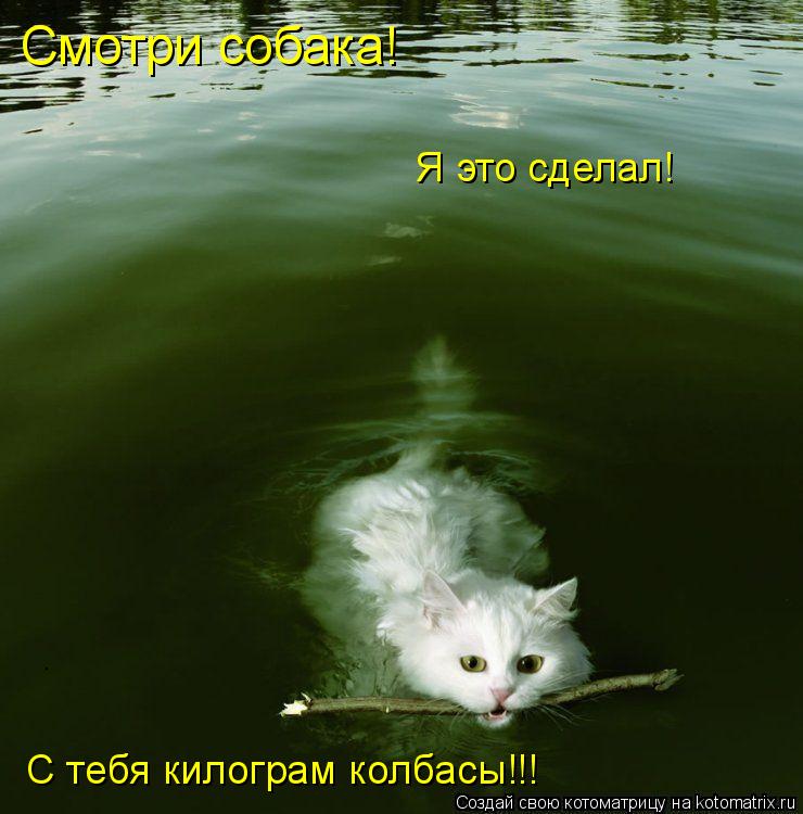Котоматрица: Смотри собака!  Я это сделал! С тебя килограм колбасы!!!