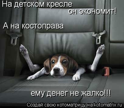 Котоматрица: На детском кресле он экономит! А на костоправа ему денег не жалко!!!