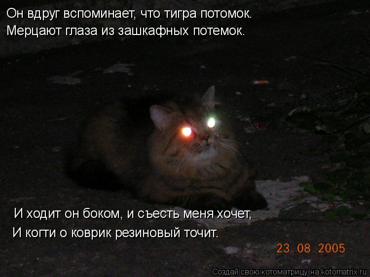 Он вдруг вспоминает, что тигра потомок. Мерцают глаза из зашкафных потемок. И ходит он боком, и съест... Котоматрица: Он вдруг вспоминает, что тигра потомок. Мерцают глаза из зашкафных потемок. И ходит он боком, и съесть меня хочет, И когти о коврик резиновый