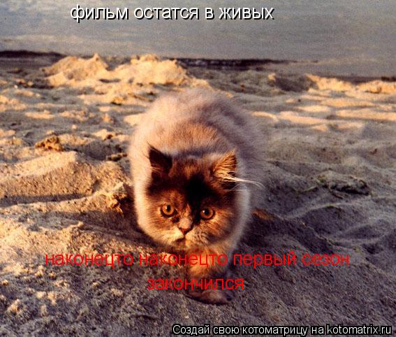 Котоматрица: фильм остатся в живых наконецто наконецто первый сезон закончился