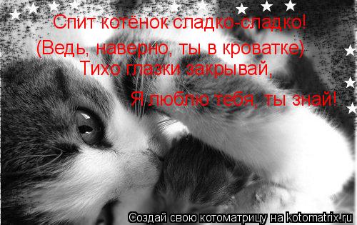 Котоматрица: Спит котёнок сладко-сладко! (Ведь, наверно, ты в кроватке) Тихо глазки закрывай, Я люблю тебя, ты знай!