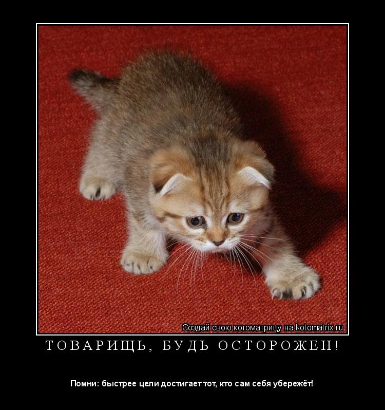 Котоматрица: Т О В А Р И Щ Ь ,   Б У Д Ь   О С Т О Р О Ж Е Н ! 